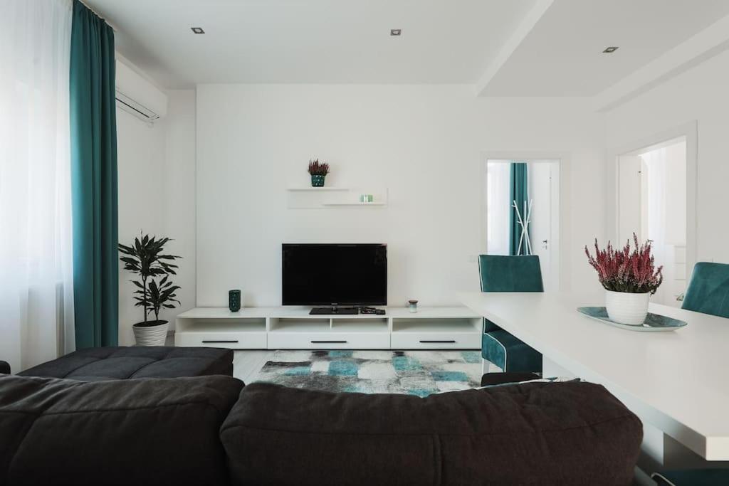 Ambassador Apartment Baia Mare Bagian luar foto