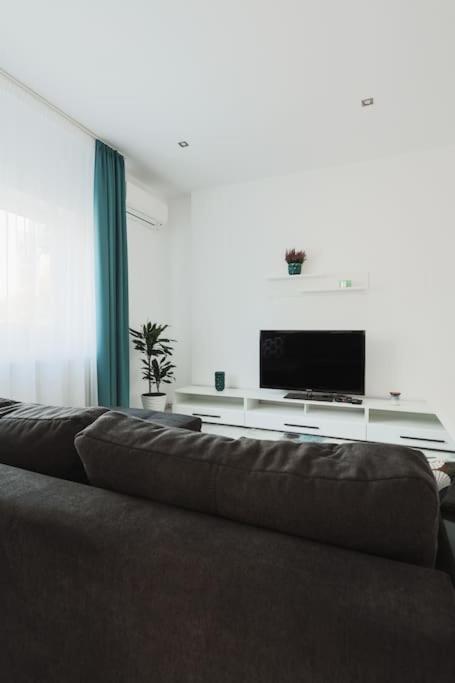 Ambassador Apartment Baia Mare Bagian luar foto