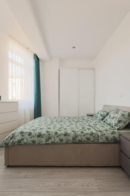 Ambassador Apartment Baia Mare Bagian luar foto