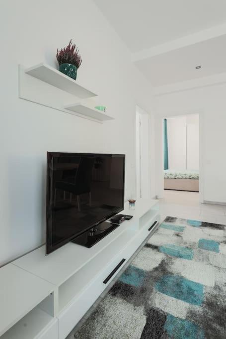 Ambassador Apartment Baia Mare Bagian luar foto