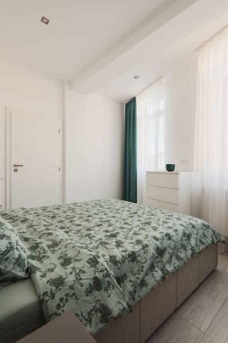 Ambassador Apartment Baia Mare Bagian luar foto